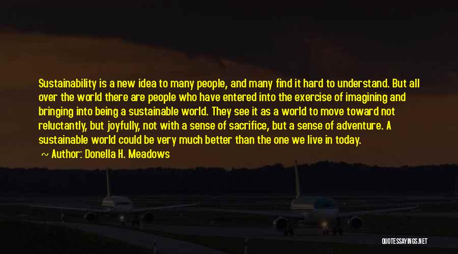 Donella H. Meadows Quotes 1989703