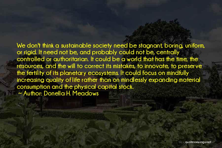 Donella H. Meadows Quotes 317793