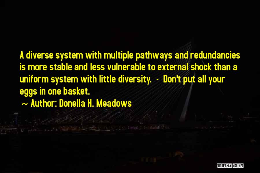 Donella H. Meadows Quotes 367593