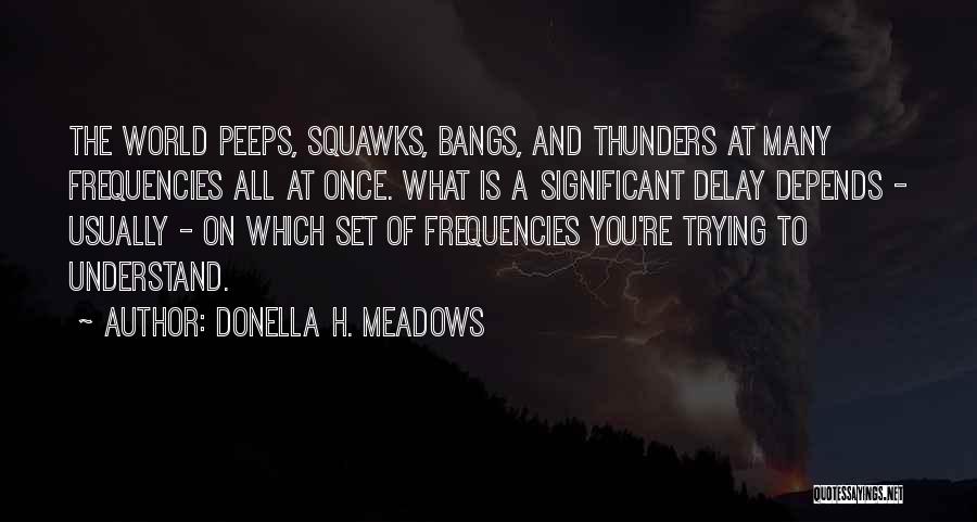 Donella H. Meadows Quotes 378040