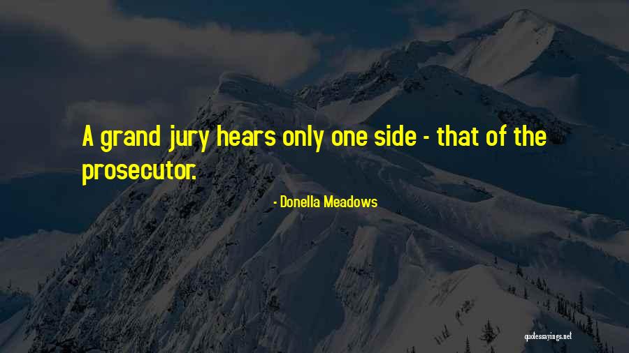 Donella Meadows Quotes 1014862