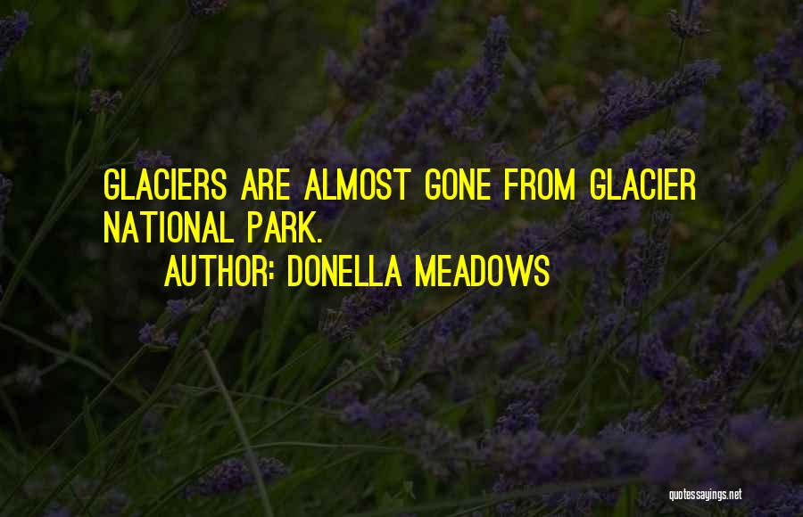 Donella Meadows Quotes 1062806