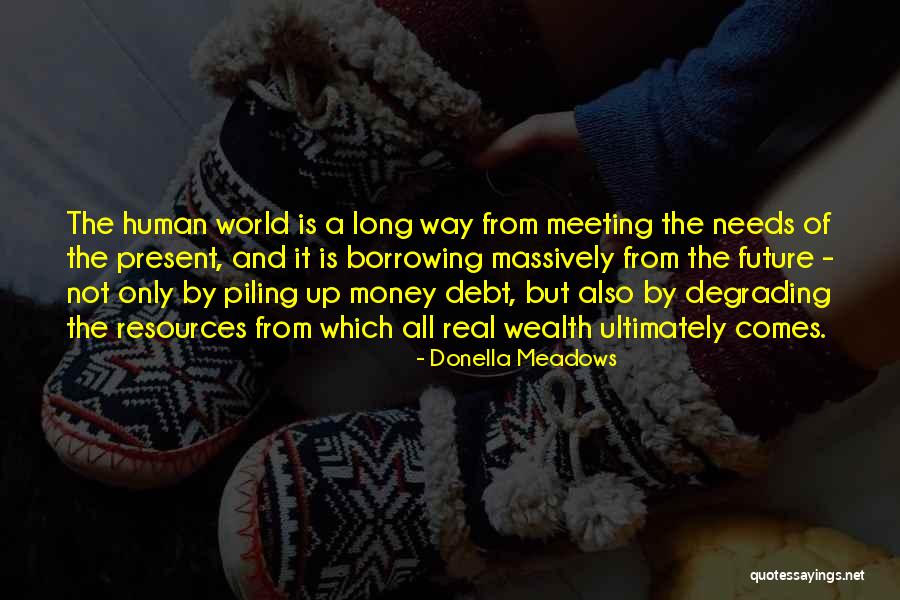 Donella Meadows Quotes 1208346