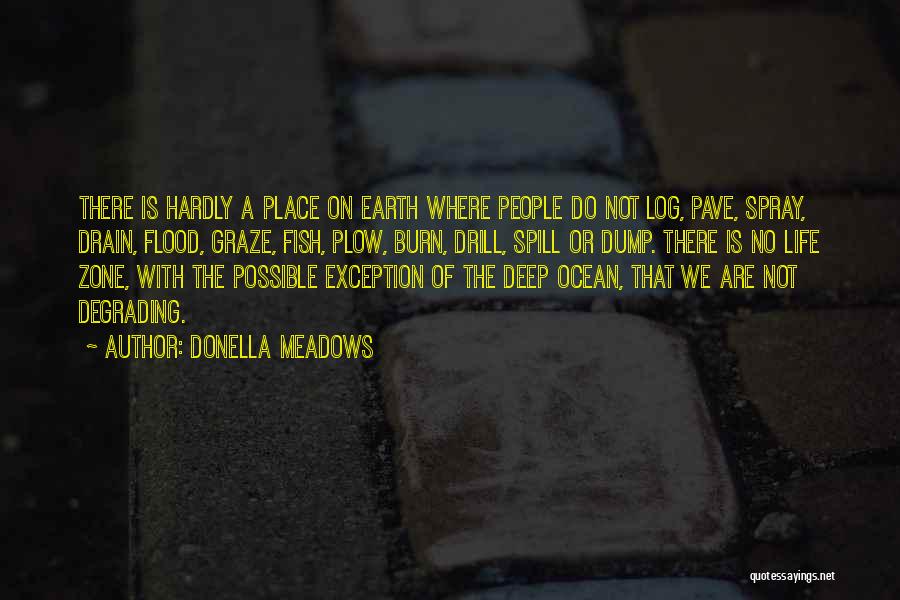 Donella Meadows Quotes 1330404
