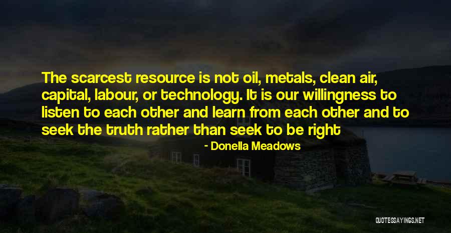 Donella Meadows Quotes 1376118