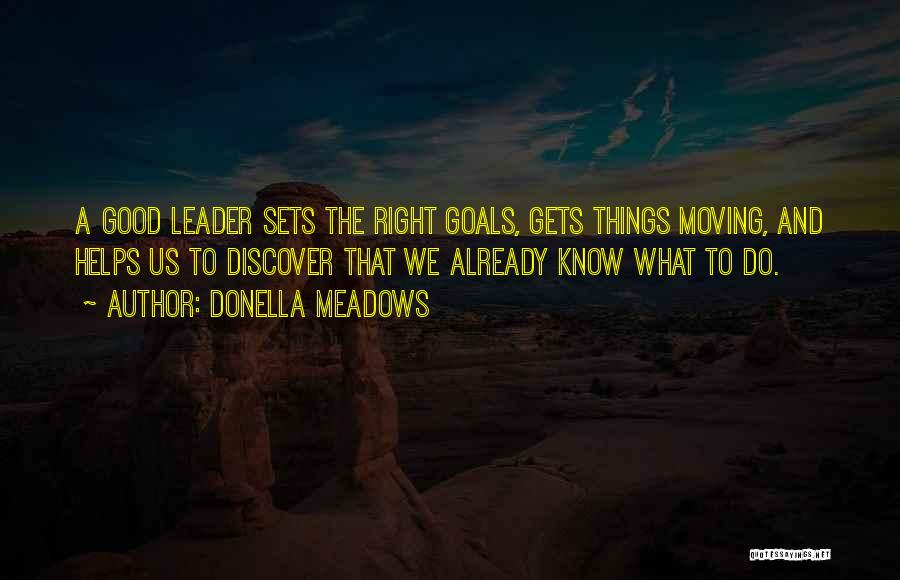 Donella Meadows Quotes 1647352