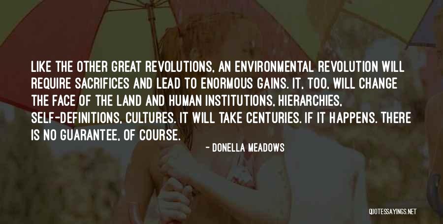 Donella Meadows Quotes 1749839