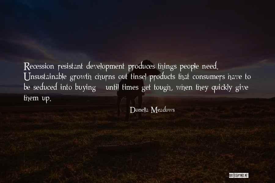 Donella Meadows Quotes 177993