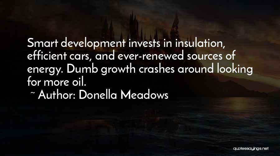 Donella Meadows Quotes 185653
