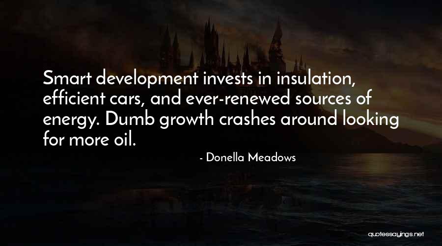 Donella Meadows Quotes 185653