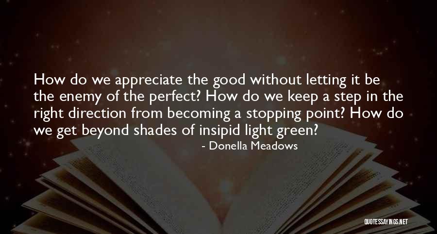 Donella Meadows Quotes 1913279