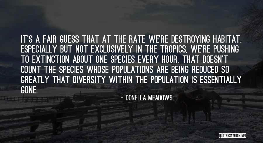 Donella Meadows Quotes 1941101