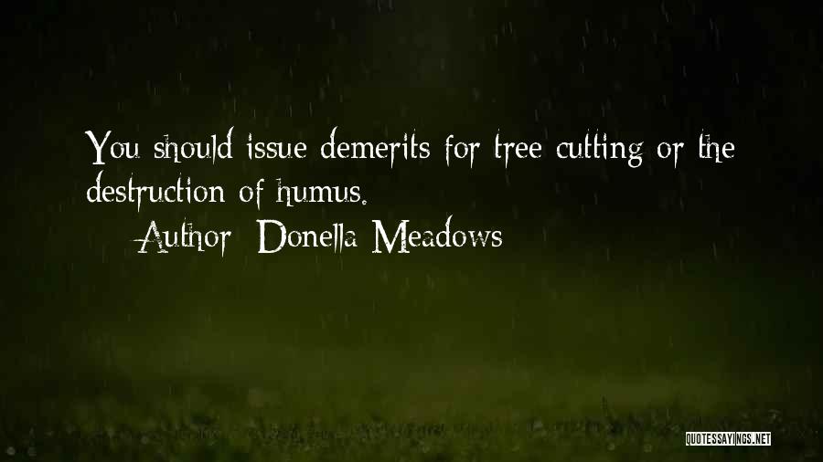 Donella Meadows Quotes 2109883