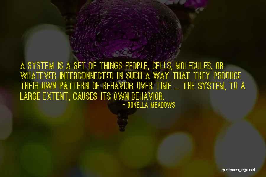 Donella Meadows Quotes 2251418