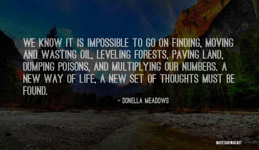 Donella Meadows Quotes 613477