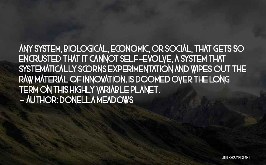 Donella Meadows Quotes 645773