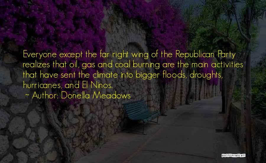 Donella Meadows Quotes 935226