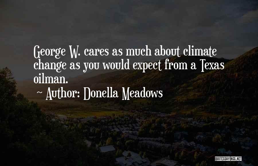 Donella Meadows Quotes 980563