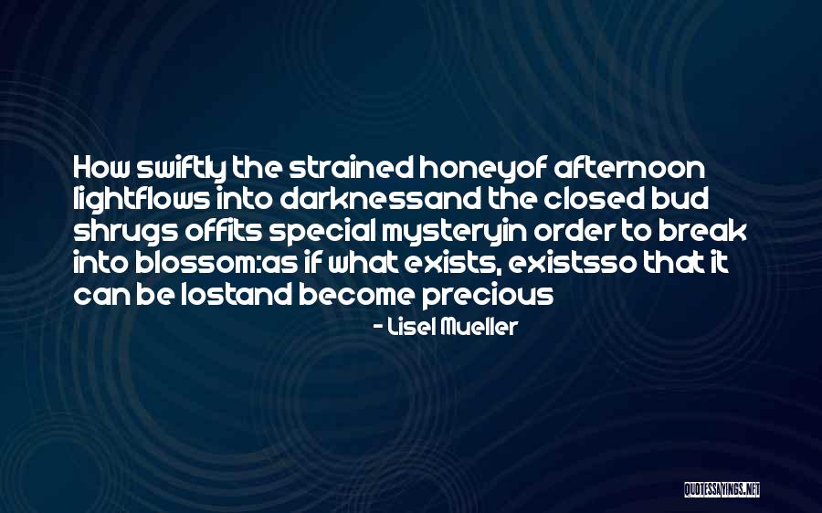 Dongan Transformers Quotes By Lisel Mueller Dongan Transformers Quotes By Lisel Mueller