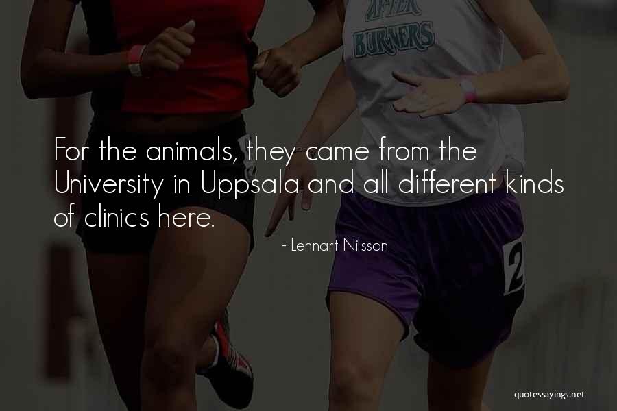Dongs Hillsborough Quotes By Lennart Nilsson Dongs Hillsborough Quotes By Lennart Nilsson