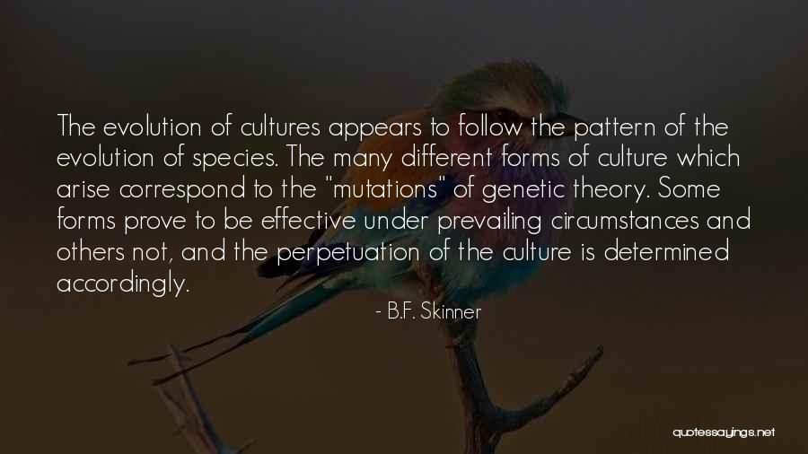 Donia Watan Quotes By B.F. Skinner Donia Watan Quotes By B.F. Skinner