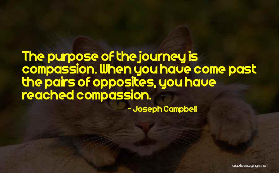 Donicity Quotes By Joseph Campbell Donicity Quotes By Joseph Campbell