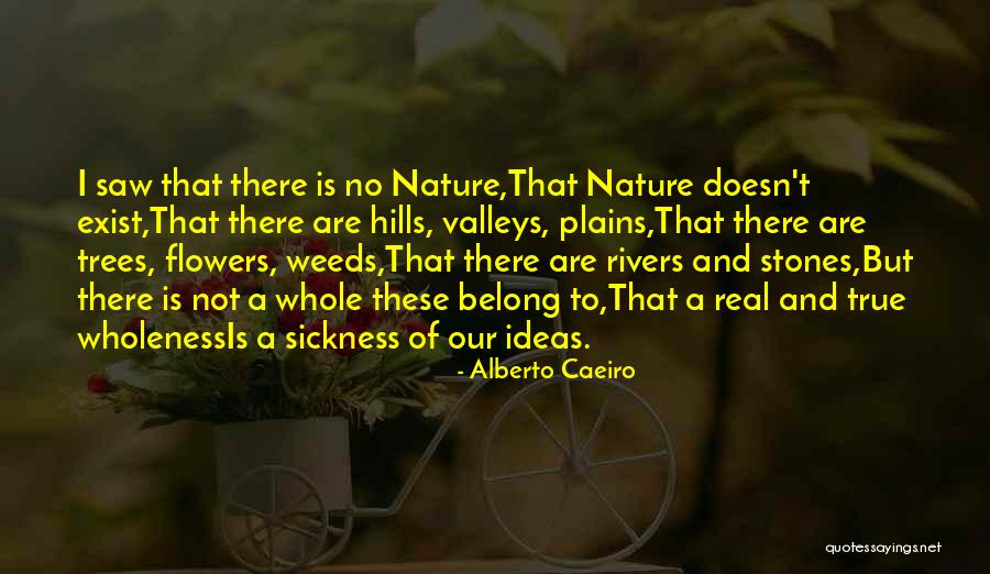 Donise Stevens Quotes By Alberto Caeiro Donise Stevens Quotes By Alberto Caeiro