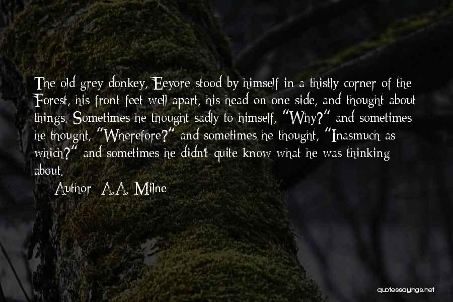 Donkey Quotes By A.A. Milne