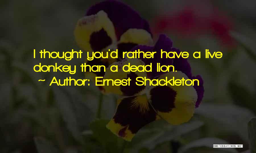 Donkey Quotes By Ernest Shackleton