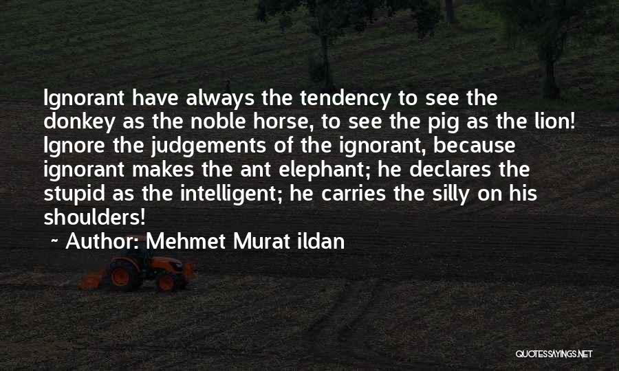 Donkey Quotes By Mehmet Murat Ildan