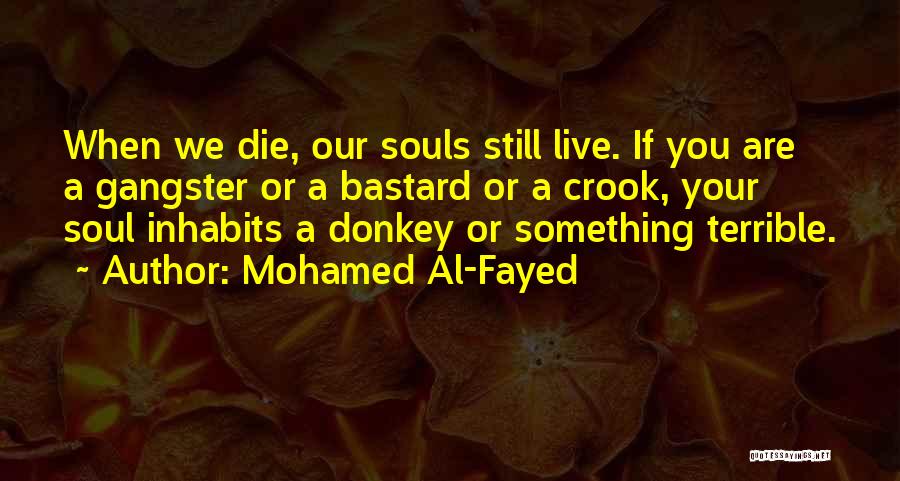 Donkey Quotes By Mohamed Al-Fayed