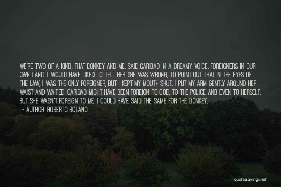 Donkey Quotes By Roberto Bolano