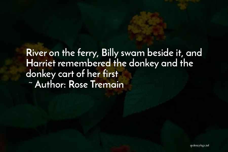 Donkey Quotes By Rose Tremain