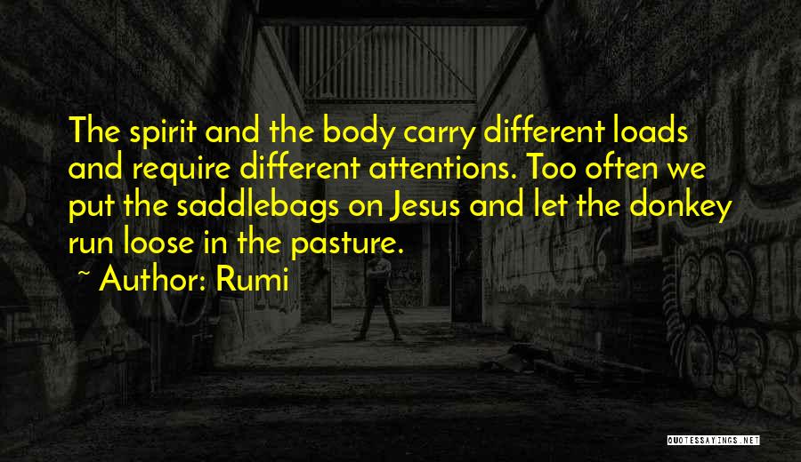 Donkey Quotes By Rumi
