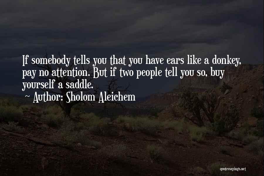 Donkey Quotes By Sholom Aleichem