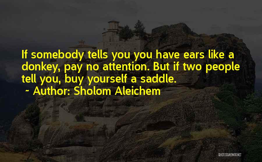 Donkey Quotes By Sholom Aleichem