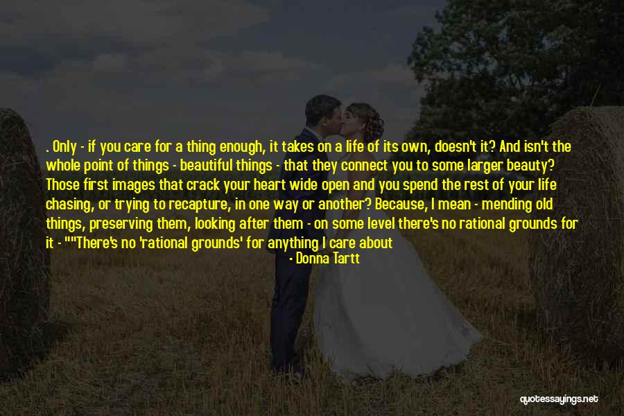 Donna Tartt Quotes 224728 Donna Tartt Quotes 224728