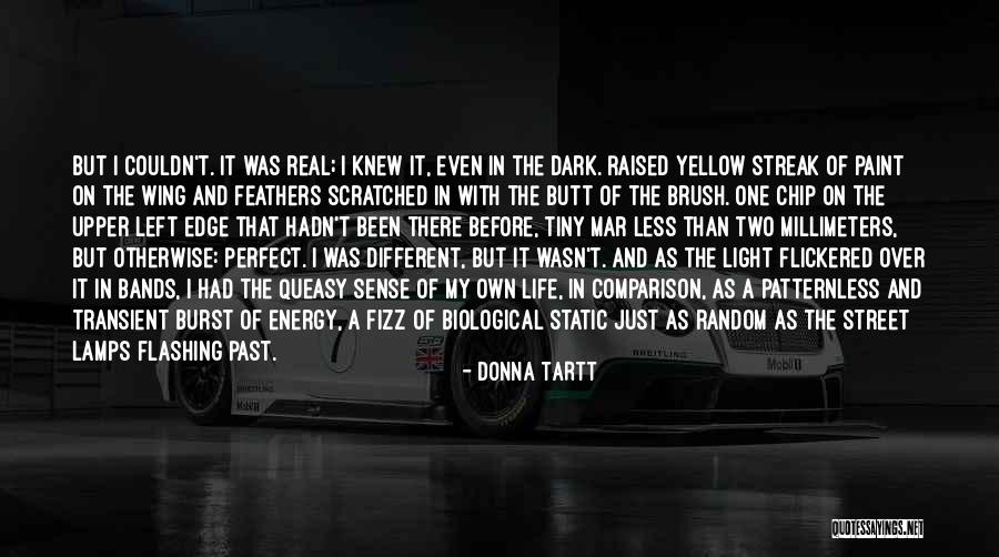 Donna Tartt Quotes 848937 Donna Tartt Quotes 848937