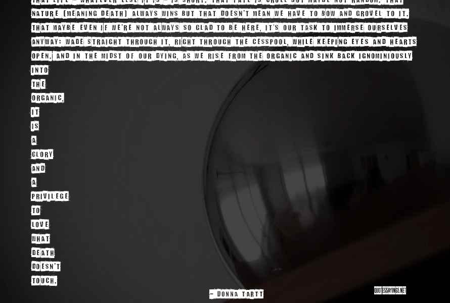 Donna's Quotes By Donna Tartt Donna's Quotes By Donna Tartt