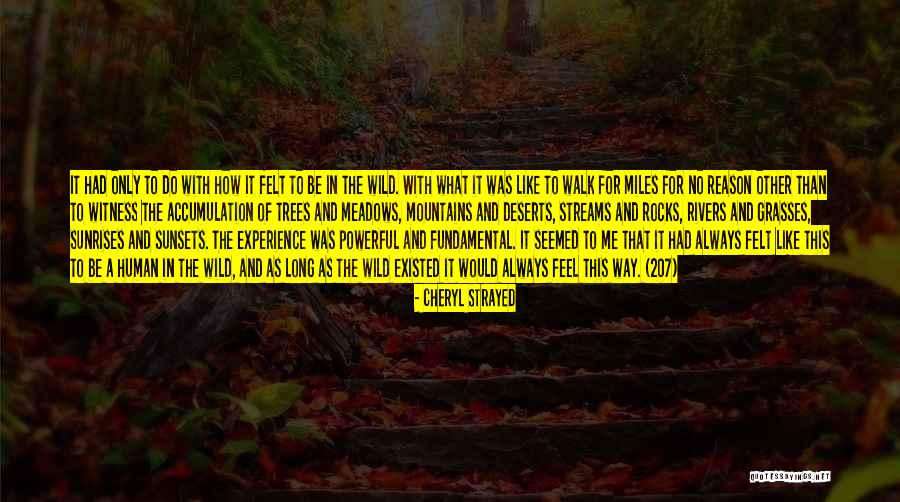 Donnell Woods Quotes By Cheryl Strayed Donnell Woods Quotes By Cheryl Strayed
