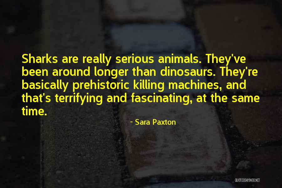 Donnetas Pups Quotes By Sara Paxton Donnetas Pups Quotes By Sara Paxton