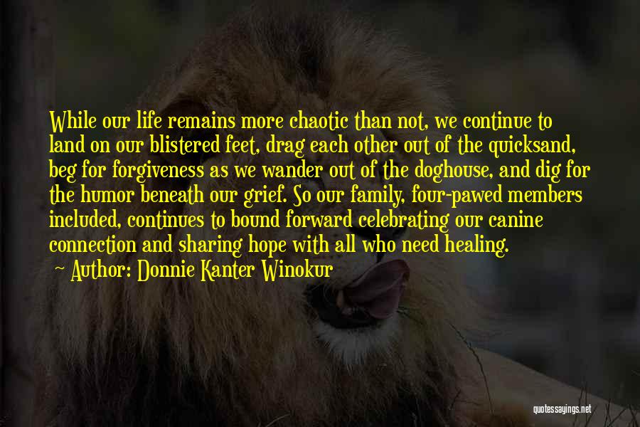 Donnie Kanter Winokur Quotes 1484494