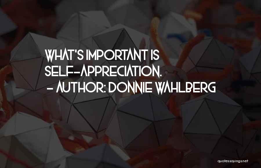 Donnie Wahlberg Quotes 714005