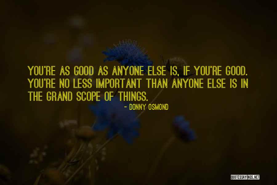 Donny Osmond Quotes 1212057