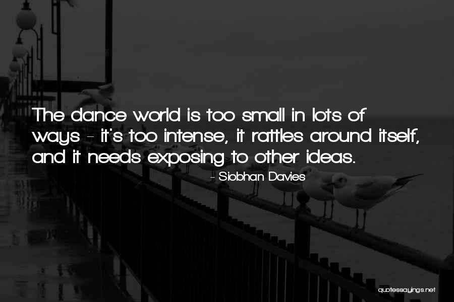 Donnybrook Quotes By Siobhan Davies Donnybrook Quotes By Siobhan Davies