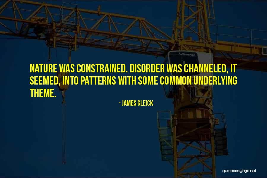 Donona Quotes By James Gleick Donona Quotes By James Gleick