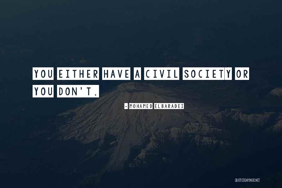 Donorships Quotes By Mohamed ElBaradei