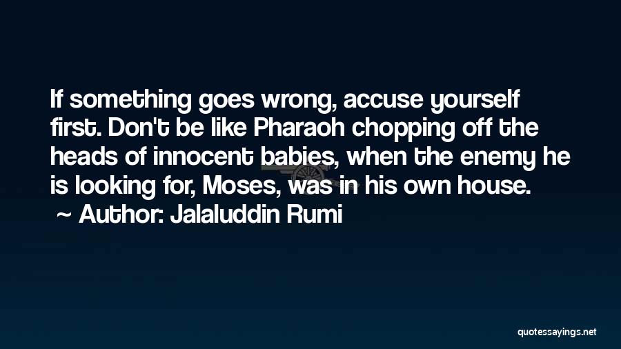 Don't Accuse Quotes By Jalaluddin Rumi