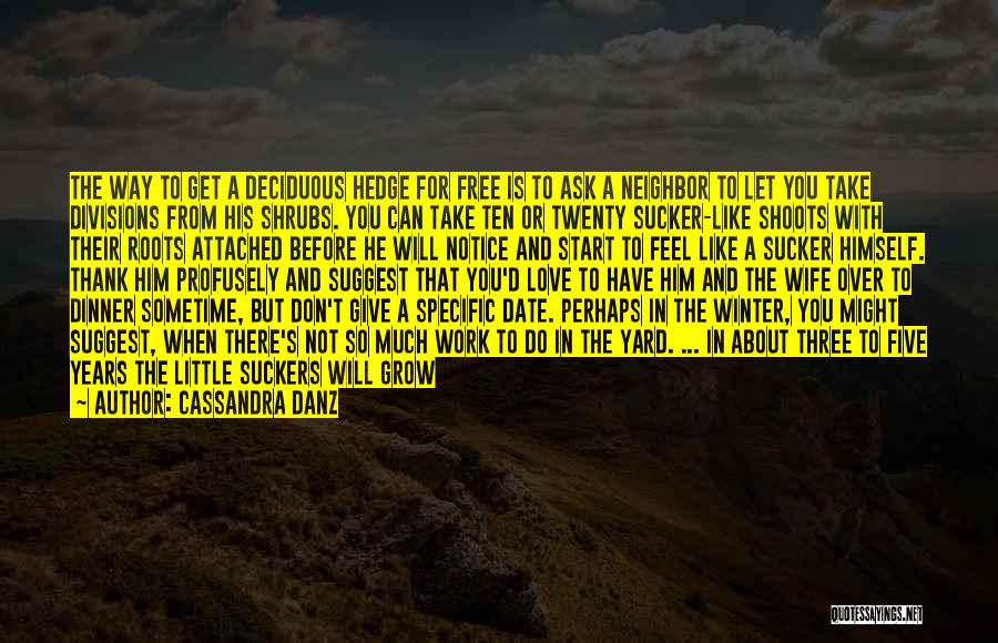 Don't Ask For Love Quotes By Cassandra Danz