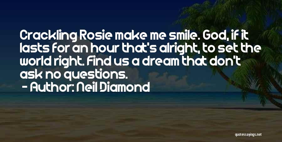 Don't Ask Me Questions Quotes By Neil Diamond